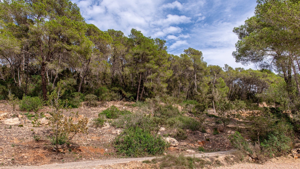 Stunning Fully Renovated Ibiza finca with panoramic Valley Views near Santa Eulària